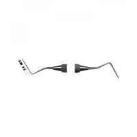PROBES