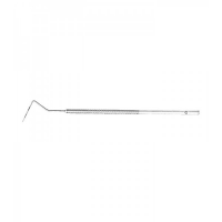 PROBES