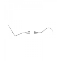 PROBES
