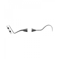 PROBES