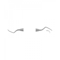 SCALERS
