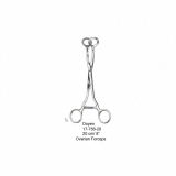 Doyen, (20 cm)