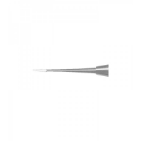 CARVERS , CHISELS