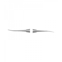 CARVERS , CHISELS