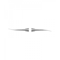 CARVERS , CHISELS