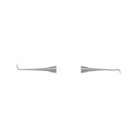 SCALERS