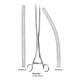 Moynihan, (31 cm)