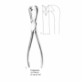 Fergusson