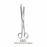Enterotomy Scissors for anatomy - 21 cm 